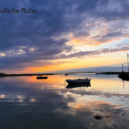 Neustein 07 * Stein (Schleswig-Holstein)