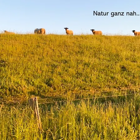 Apartment Neustein 07 *