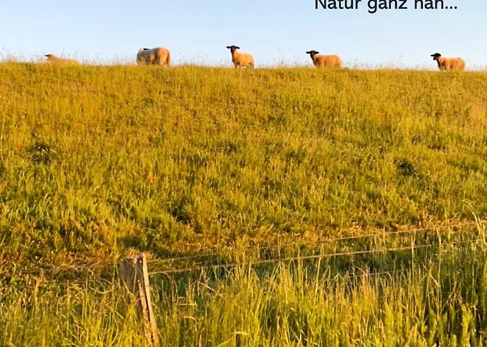 Appartement Neustein 07 *